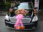 藍鳥租車,順德租車